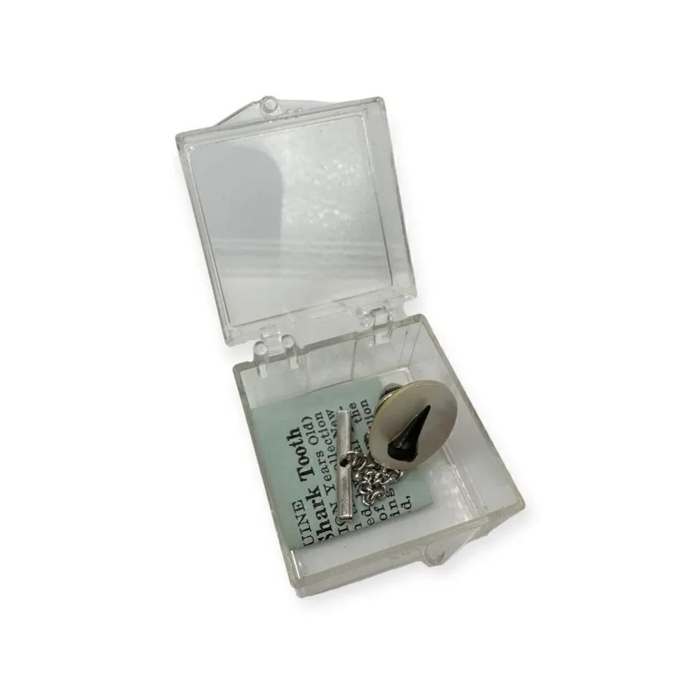 Genuine shark tooth cuff link in a clear box